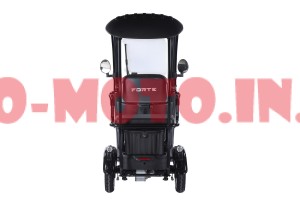 Електротрицикл Forte Trine-WN1072G